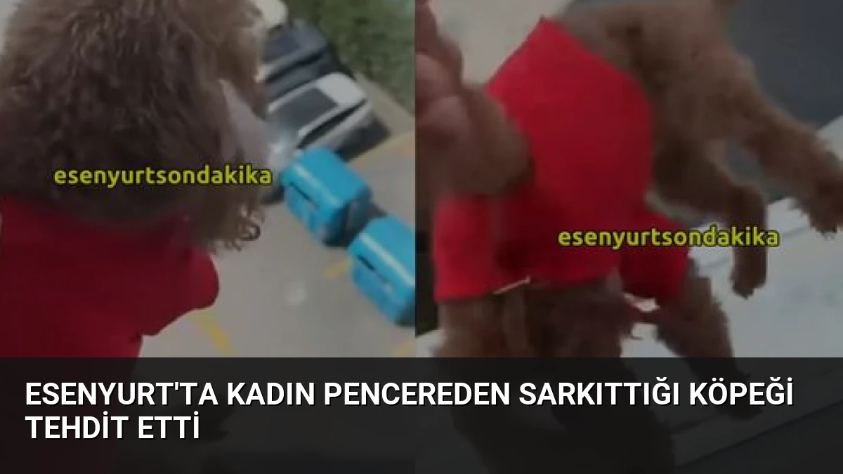 Esenyurt’ta Kadın Pencereden Sarkıttığı Köpeği Tehdit Etti