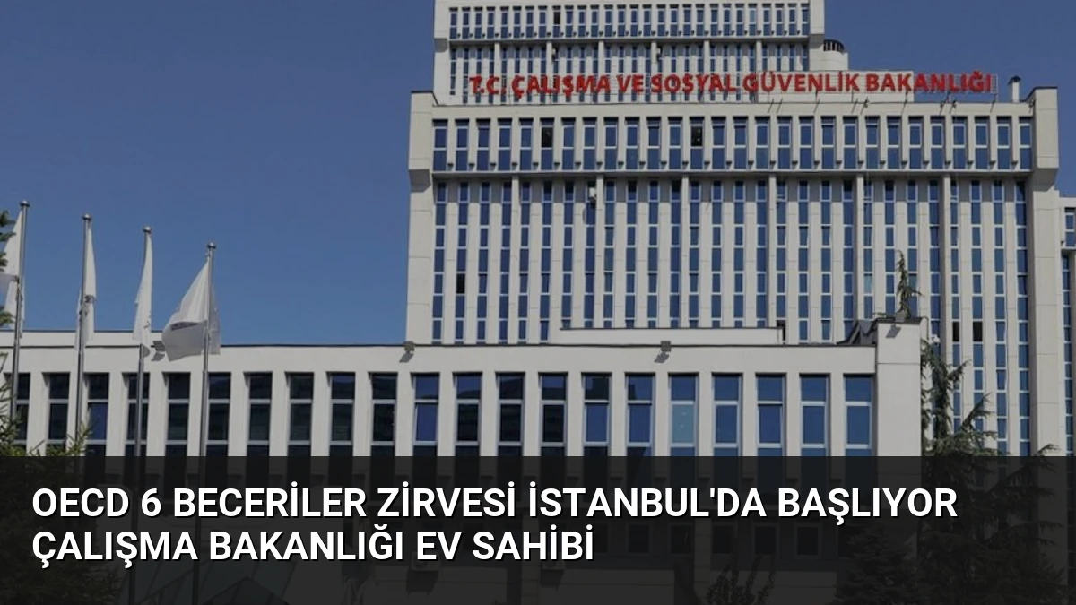 OECD 6 Beceriler Zirvesi İstanbul’da Başlıyor Çalışma Bakanlığı Ev Sahibi