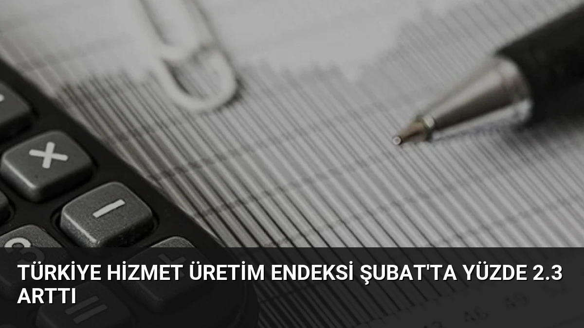 Türkiye Hizmet Üretim Endeksi Şubat’ta Yüzde 2.3 Arttı