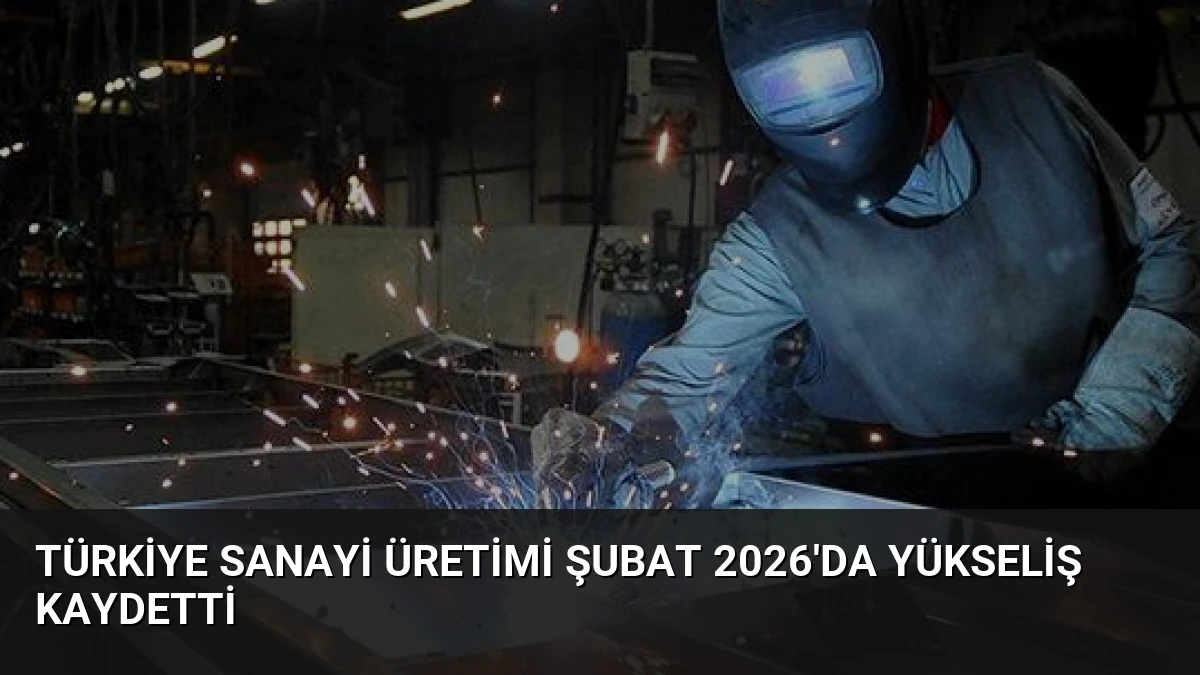 Türkiye Sanayi Üretimi Şubat 2026’da Yükseliş Kaydetti