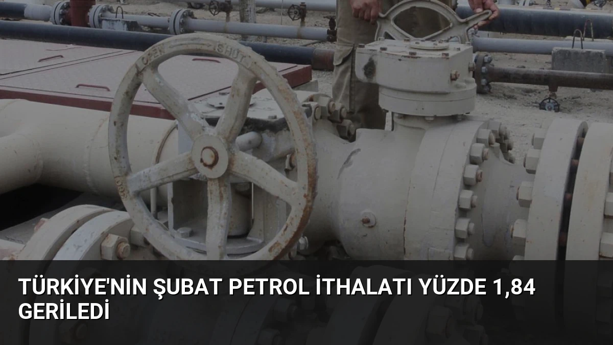 Türkiye’nin Şubat Petrol İthalatı Yüzde 1,84 Geriledi