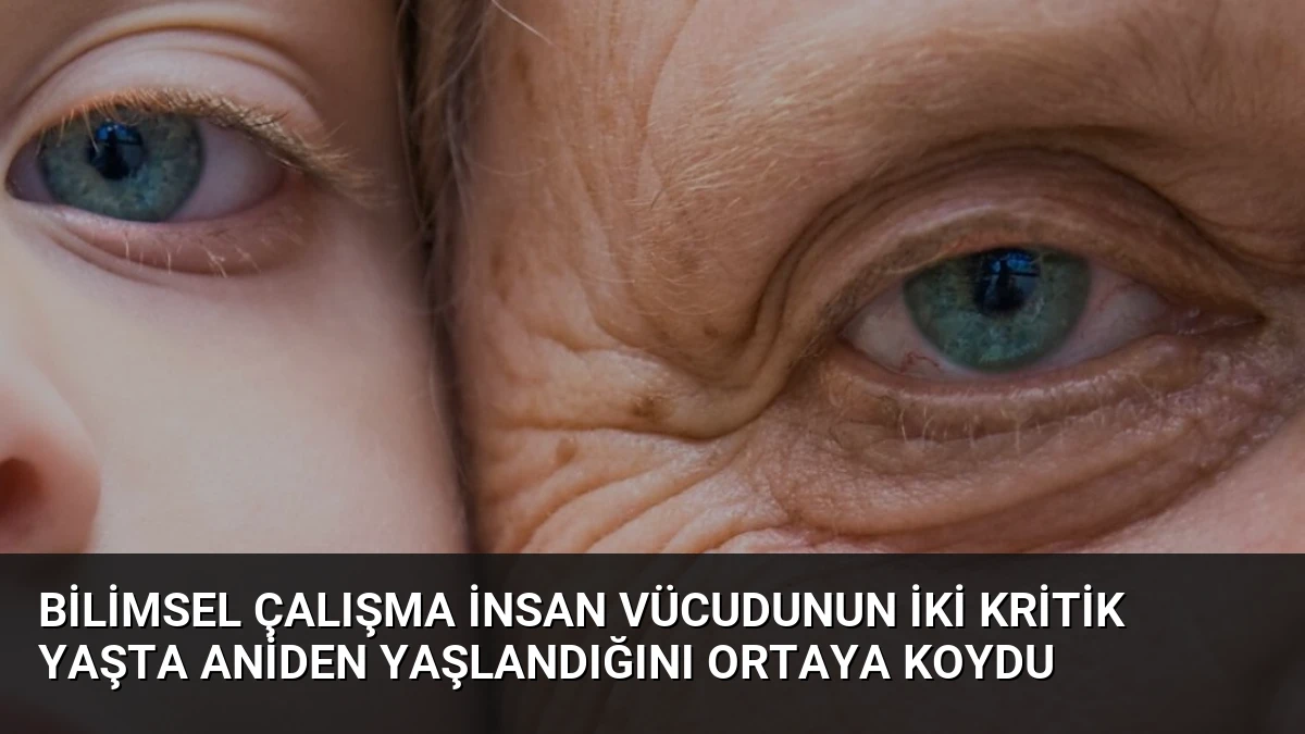 Bilimsel Çalışma İnsan Vücudunun İki Kritik Yaşta Aniden Yaşlandığını Ortaya Koydu