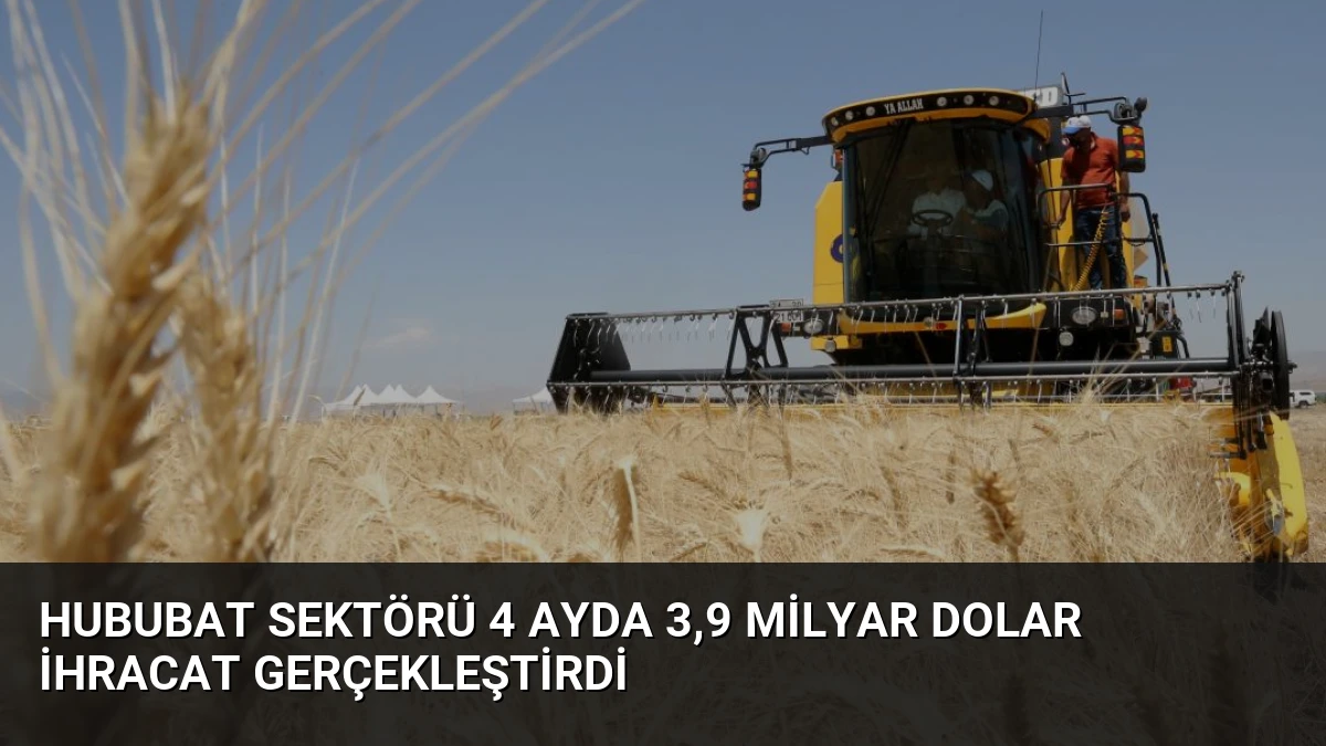 Hububat Sektörü 4 Ayda 3,9 Milyar Dolar İhracat Gerçekleştirdi
