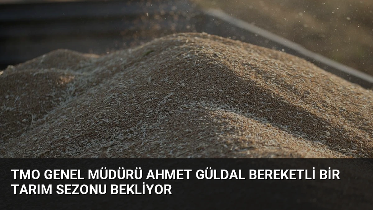 TMO Genel Müdürü Ahmet Güldal Bereketli Bir Tarım Sezonu Bekliyor