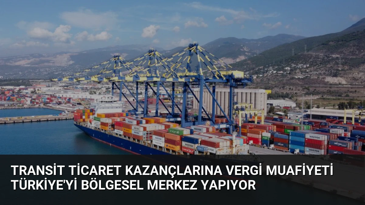 Transit Ticaret Kazançlarına Vergi Muafiyeti Türkiye’yi Bölgesel Merkez Yapıyor