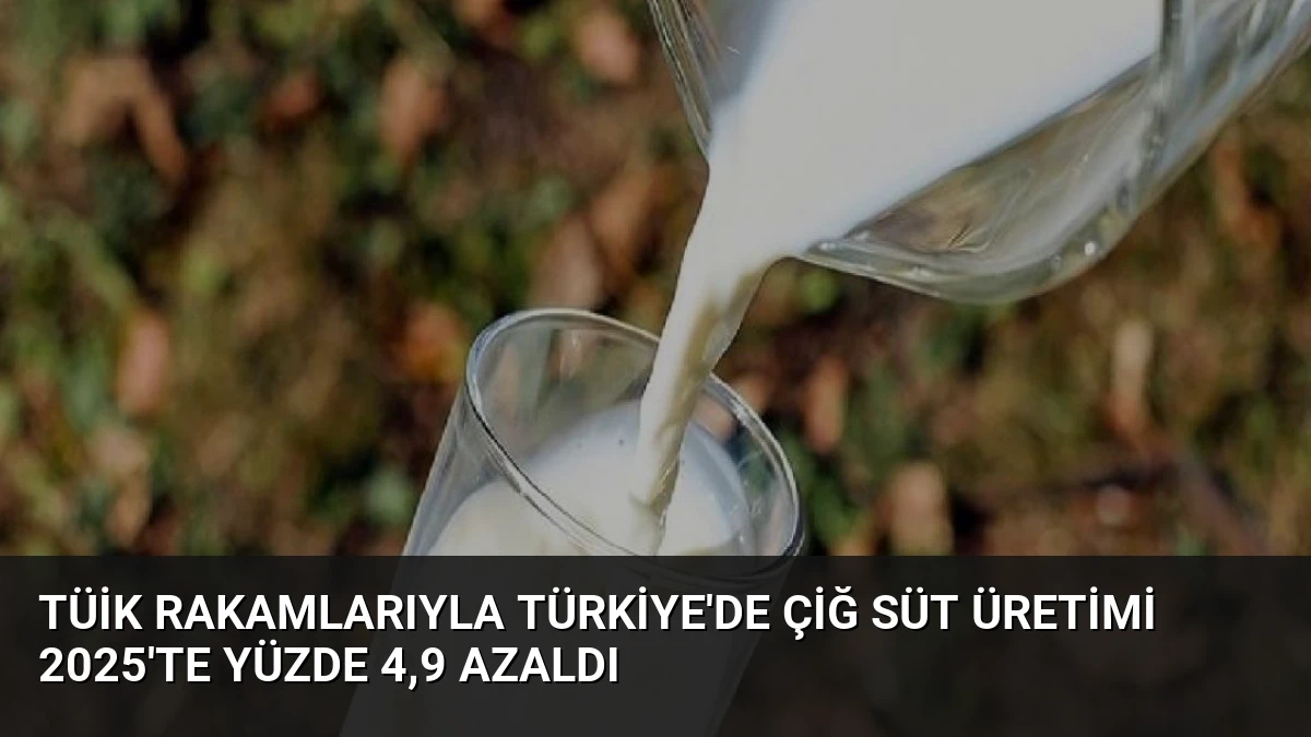 TÜİK Rakamlarıyla Türkiye’de Çiğ Süt Üretimi 2025’te Yüzde 4,9 Azaldı