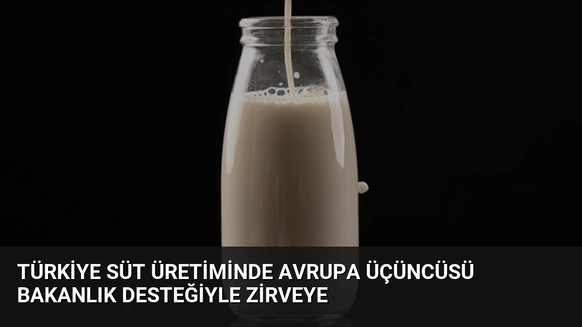 Türkiye Süt Üretiminde Avrupa Üçüncüsü Bakanlık Desteğiyle Zirveye