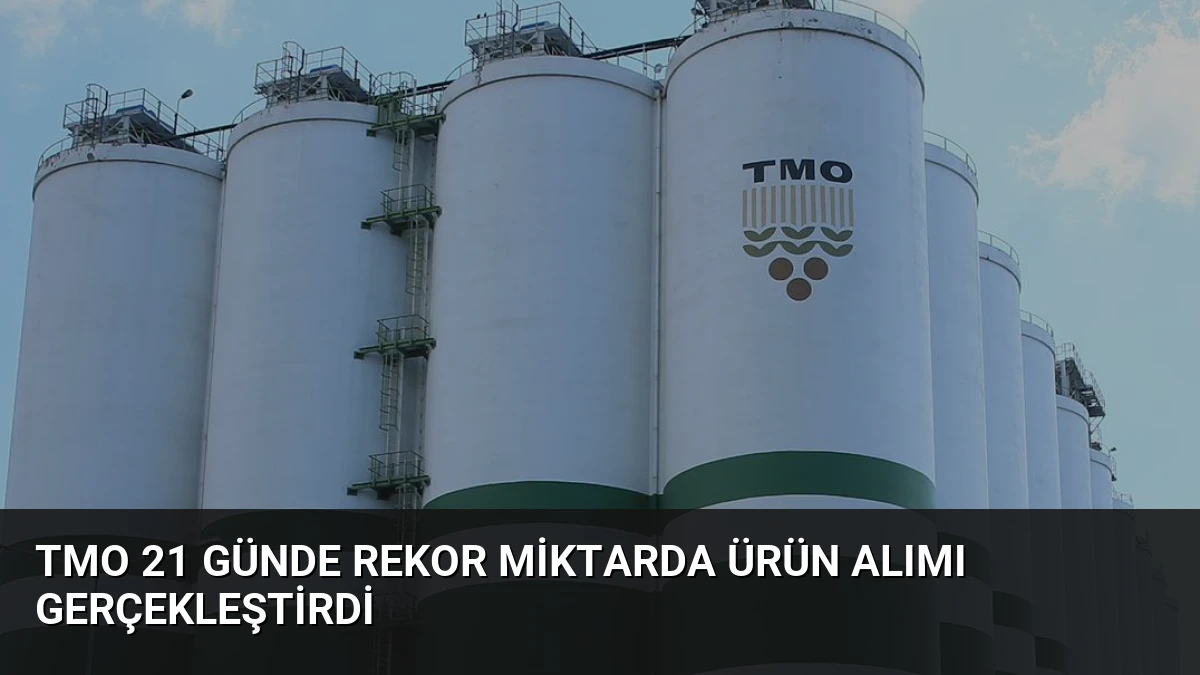 TMO 21 Günde Rekor Miktarda Ürün Alımı Gerçekleştirdi