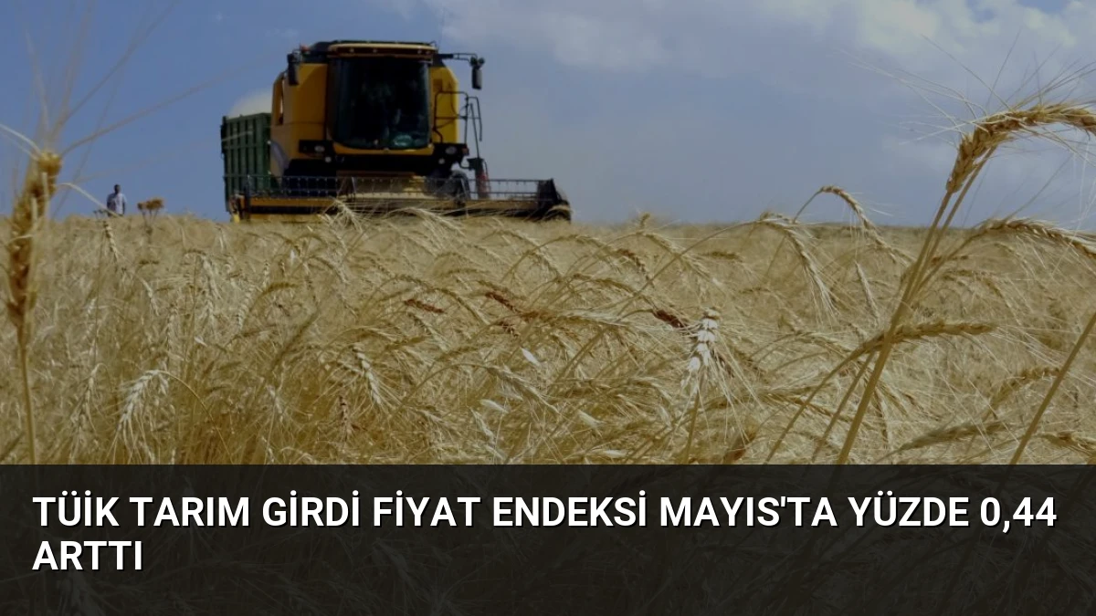 TÜİK Tarım Girdi Fiyat Endeksi Mayıs’ta Yüzde 0,44 Arttı