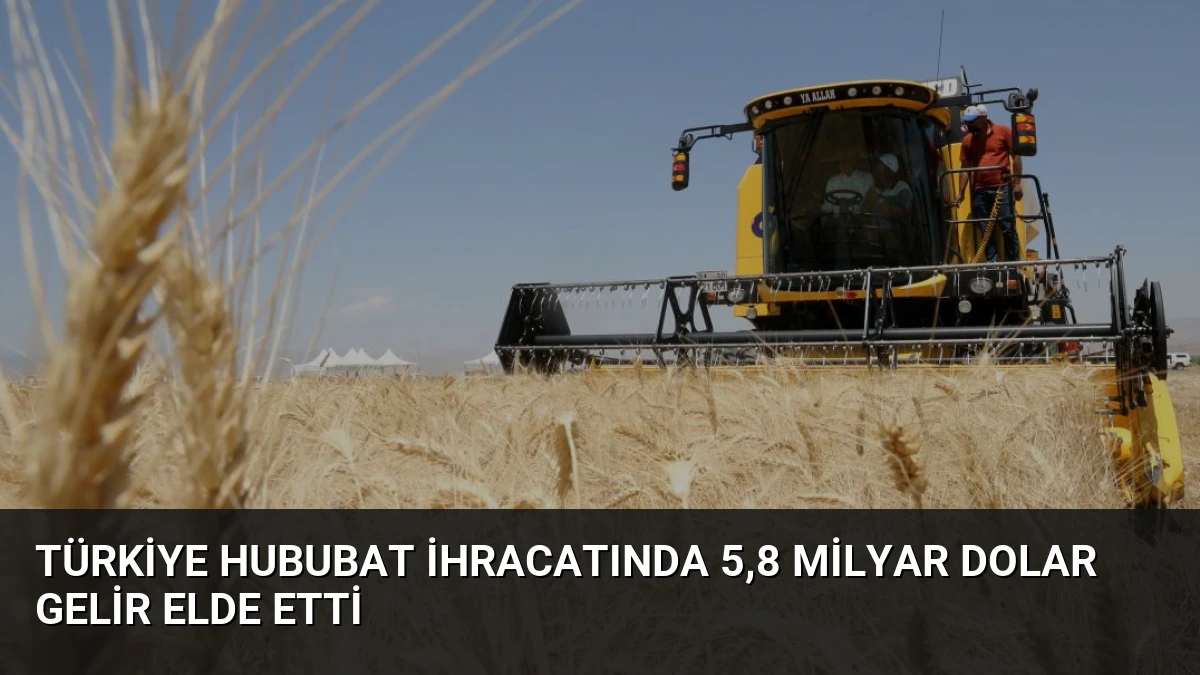 Türkiye Hububat İhracatında 5,8 Milyar Dolar Gelir Elde Etti