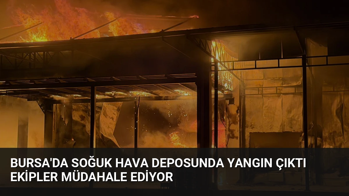 Bursa’da Soğuk Hava Deposunda Yangın Çıktı Ekipler Müdahale Ediyor