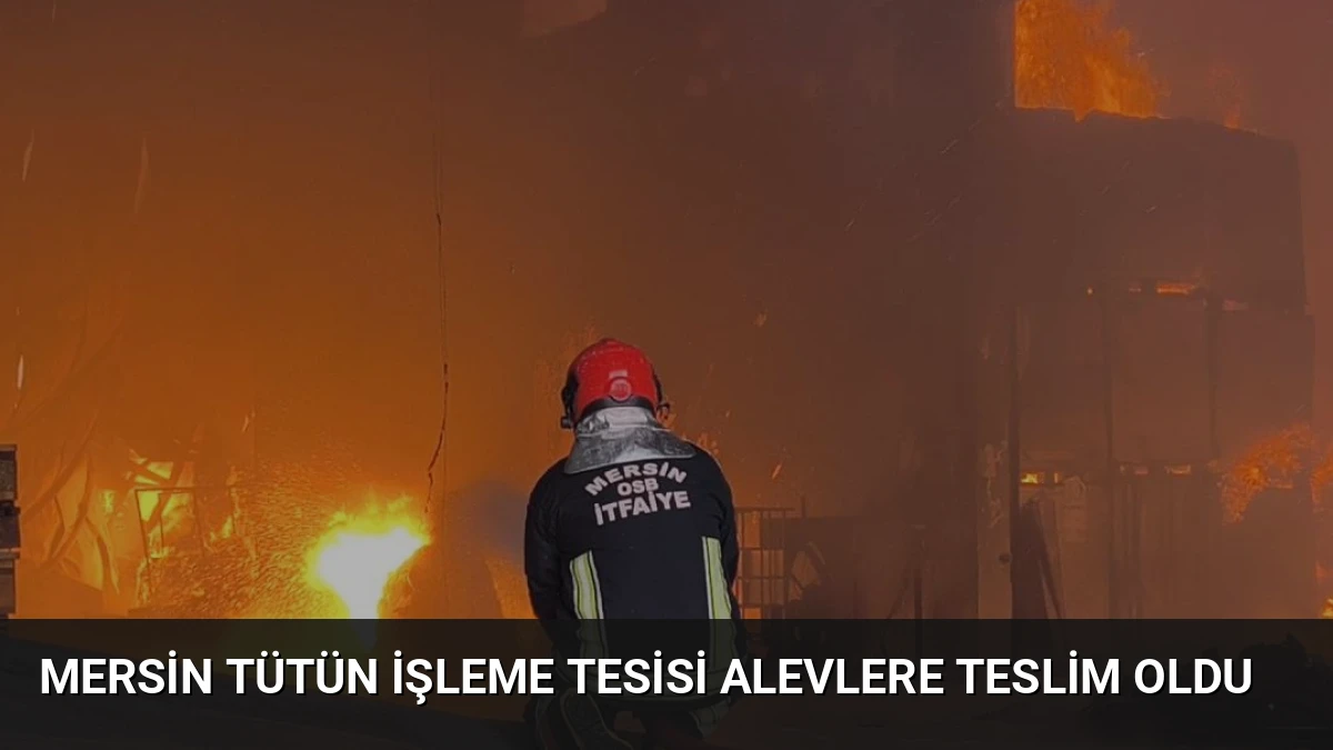 Mersin Tütün İşleme Tesisi Alevlere Teslim Oldu