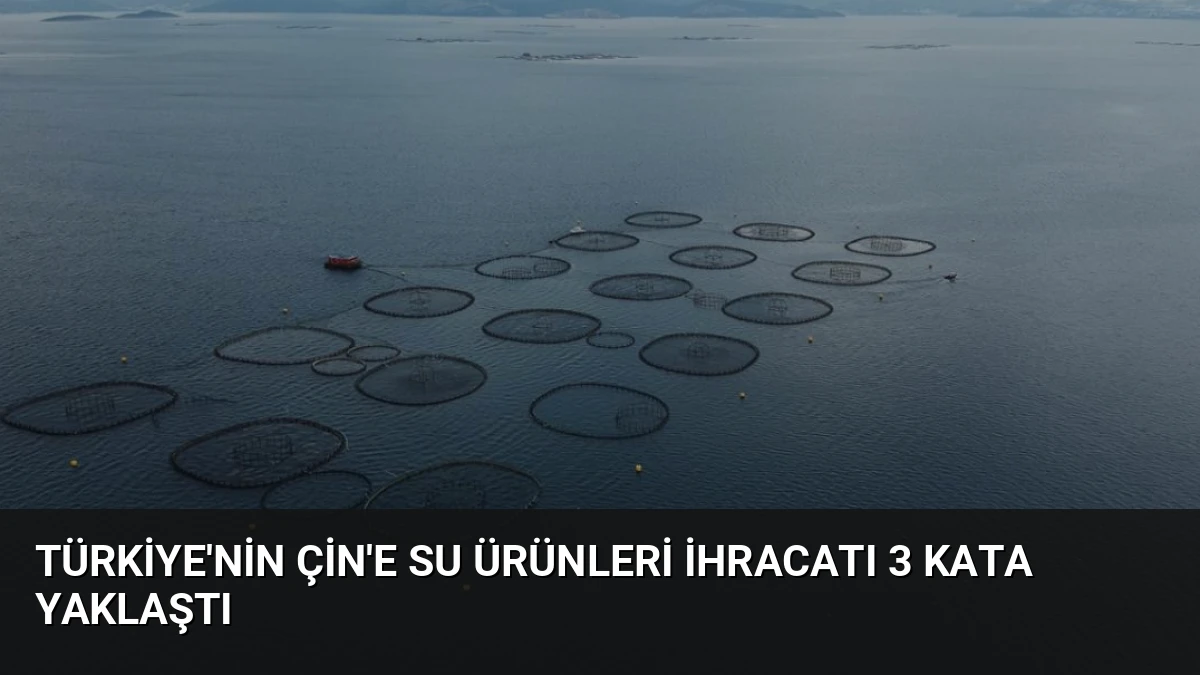 Türkiye’nin Çin’e Su Ürünleri İhracatı 3 Kata Yaklaştı